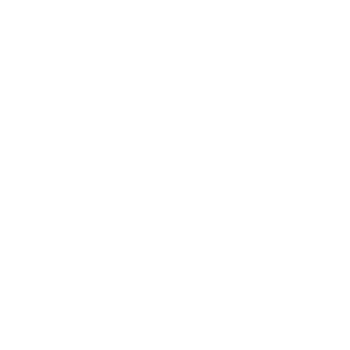 현재 의장 없음